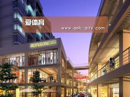 案例展示一(图1)