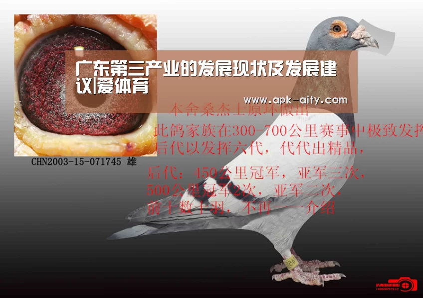 广东第三产业的发展现状及发展建议|爱体育(图2) 爱体育