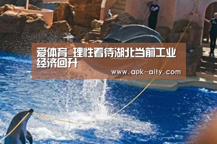 爱体育