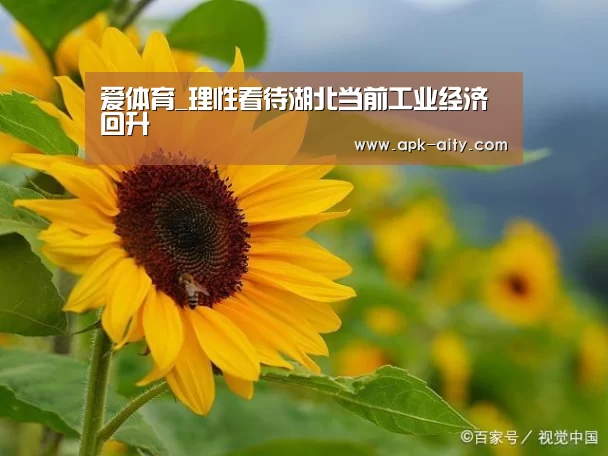 爱体育