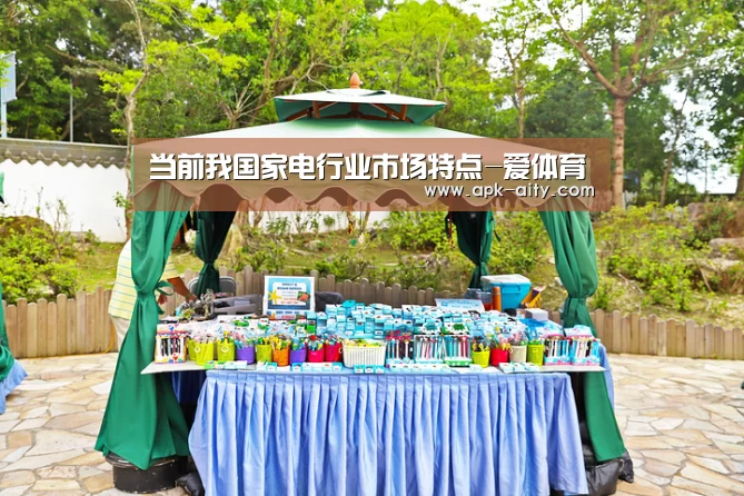 当前我国家电行业市场特点-爱体育(图3) 爱体育