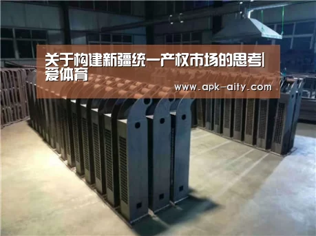 关于构建新疆统一产权市场的思考|爱体育(图2) 爱体育